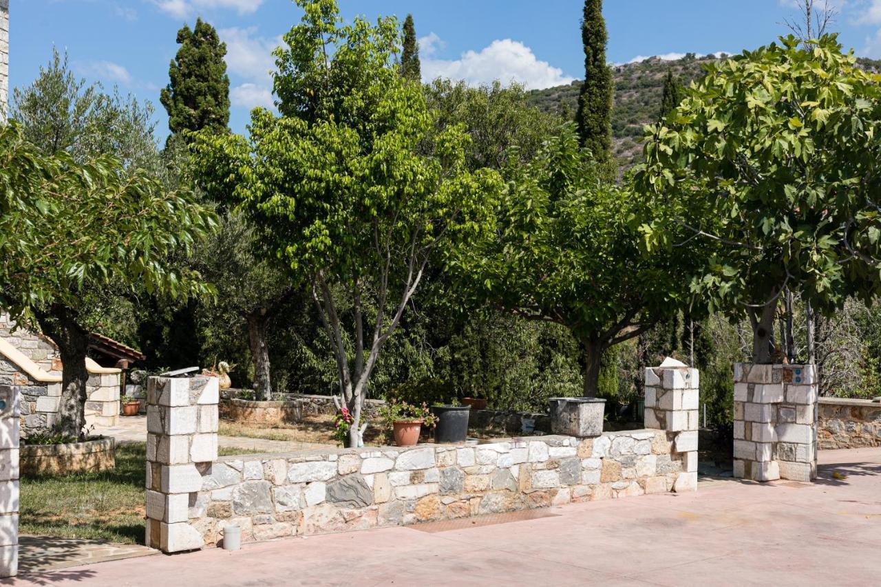 Chioureas Apartments Λεύκτρο Εξωτερικό φωτογραφία
